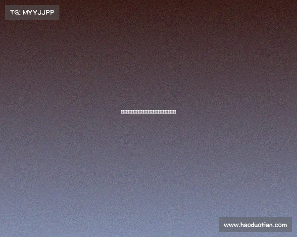 过去一个赛季出战次数最多的劳模阵容盘点与分析