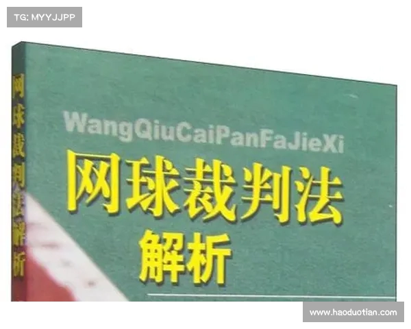 网球比赛主裁判判罚决策的标准与影响因素分析