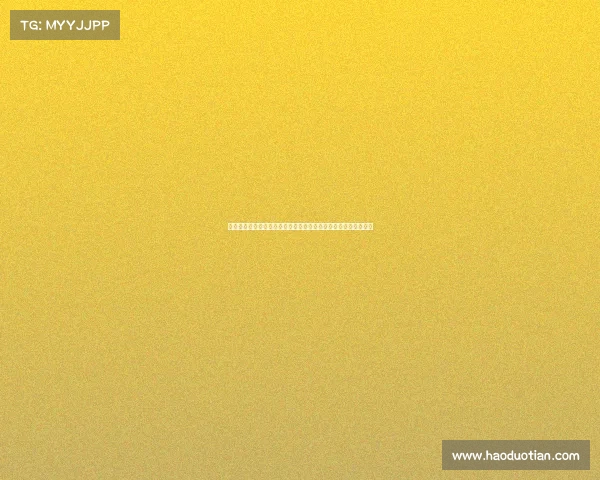 法甲女足球队崛起背后的故事与挑战：探索女性足球的未来与发展