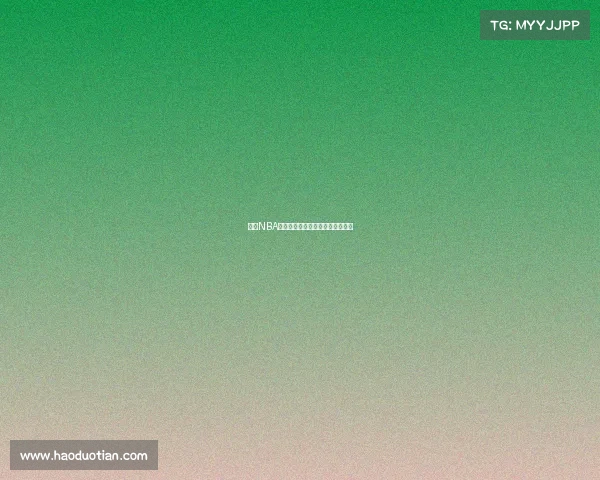 探索NBA球队文化：传奇、精神与球迷狂热